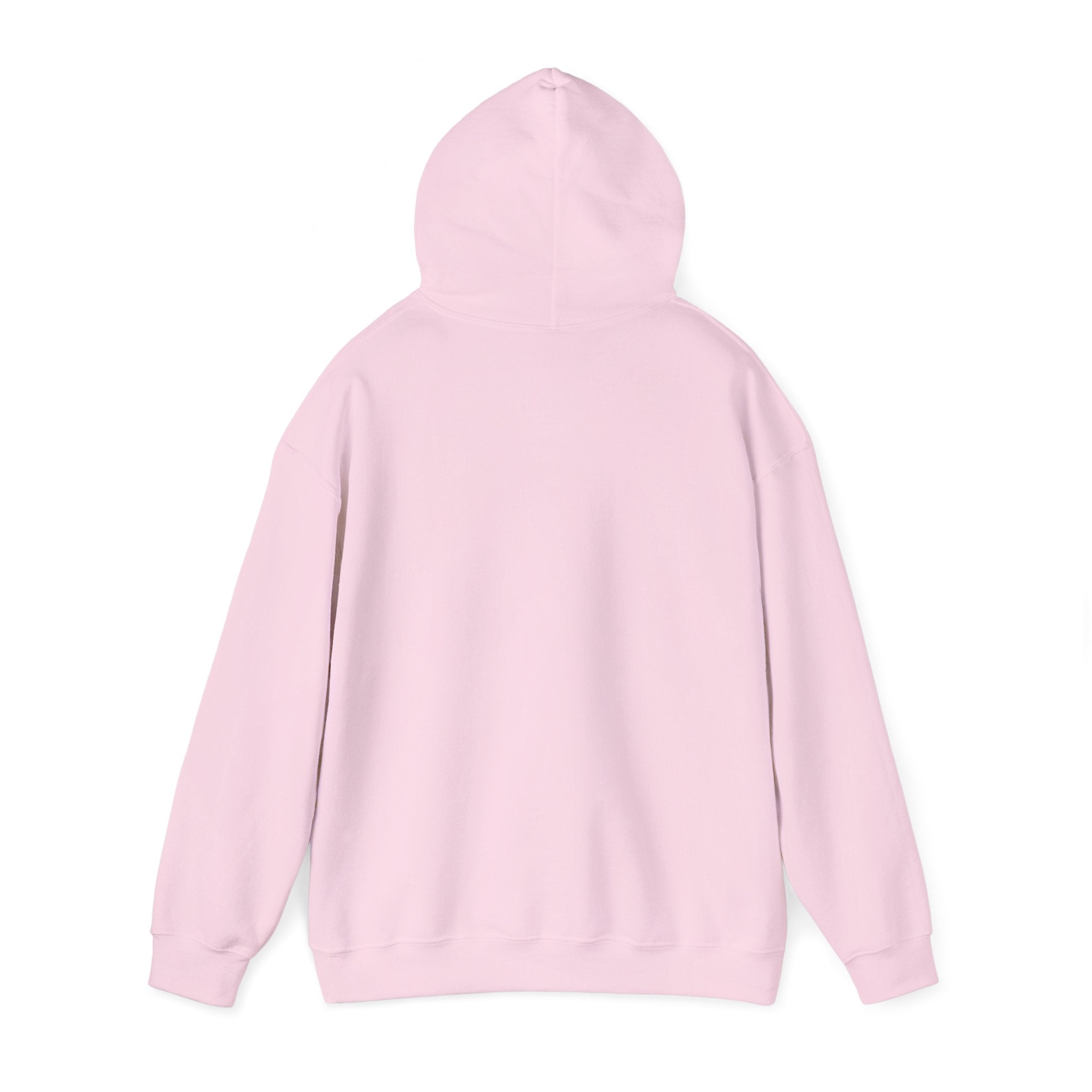 Hoodie — 'Lame Ugly' Retro Daisy Graphic Hoodie